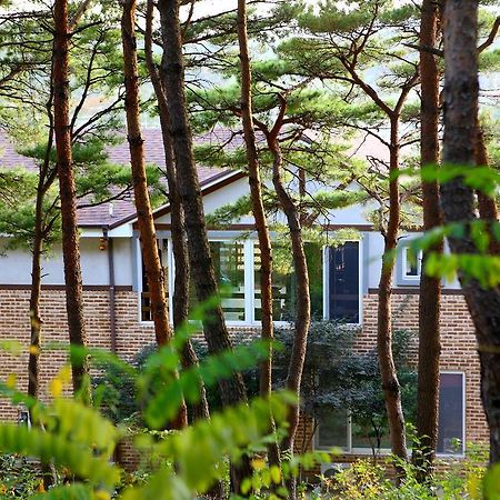 Casa Seorak Bed And Breakfast Sokcho Exterior photo
